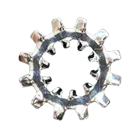 Internal-External Tooth Lock Washer
