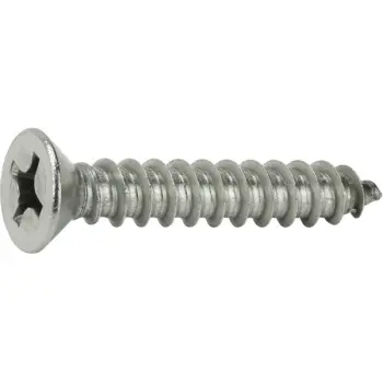 Self Tapping Screw