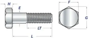 Hex Cap Screw